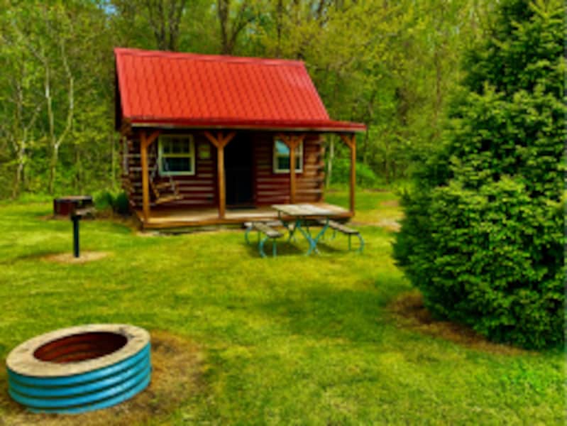 Regular Cabin with Loft-1